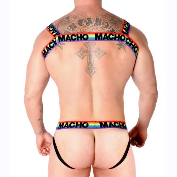 Doppelgeschirr Pride Limited von Macho Underwear kaufen | Fesselliebe