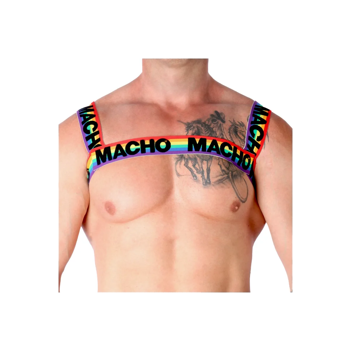Doppelgeschirr Pride Limited von Macho Underwear kaufen | Fesselliebe
