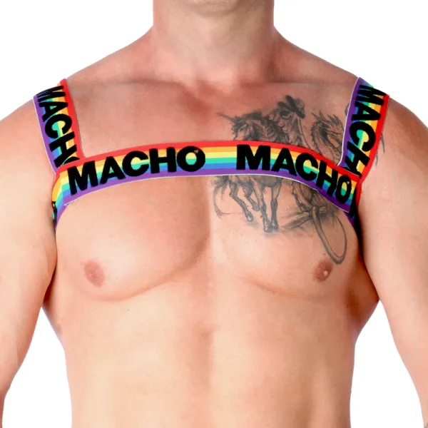 Doppelgeschirr Pride Limited von Macho Underwear kaufen | Fesselliebe