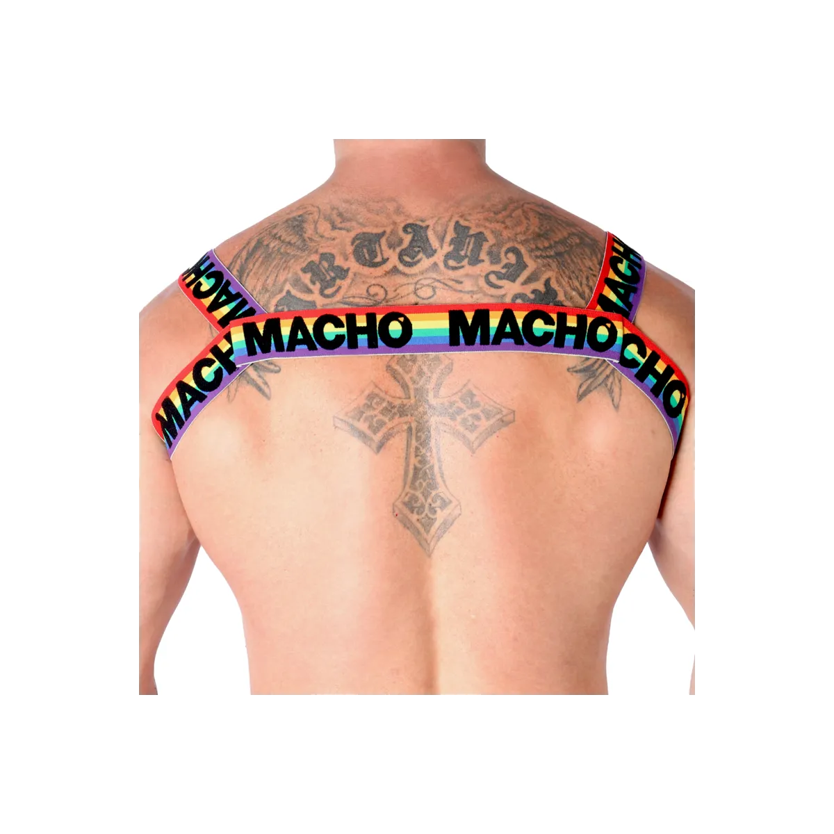 Doppelgeschirr Pride Limited von Macho Underwear kaufen | Fesselliebe