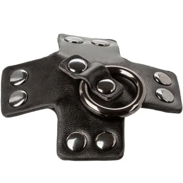 Euphoria O-Ring Schwarz von Calexotics kaufen | Fesselliebe