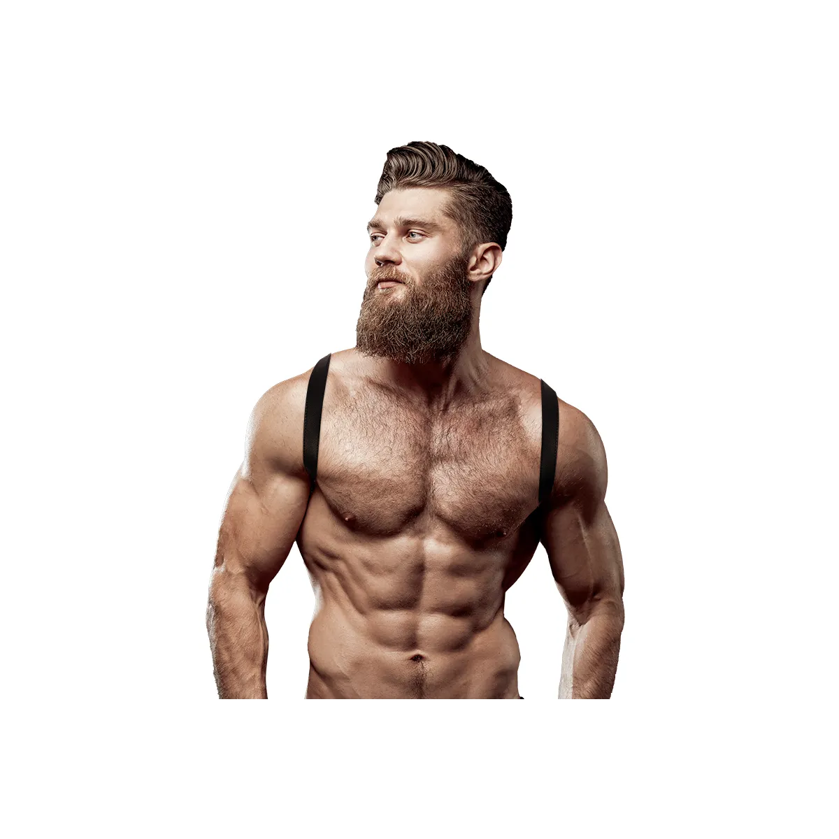 Rückenharness aus Ökoleder für Herren von Fetish Submissive Attitude kaufen | Fesselliebe