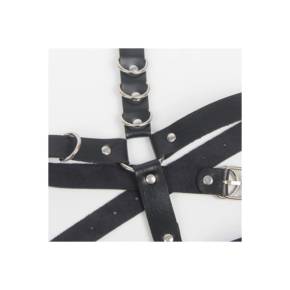 Strumpfhose mit Ringen, Einheitsgrösse von Subblime Fetish kaufen | Fesselliebe