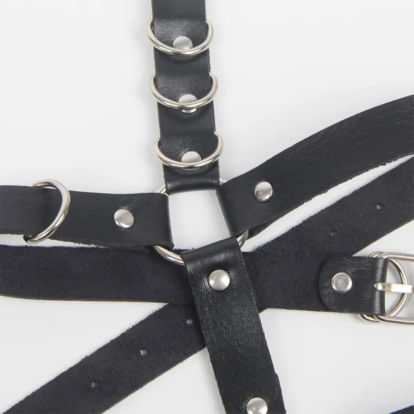 Strumpfhose mit Ringen, Einheitsgrösse von Subblime Fetish kaufen | Fesselliebe