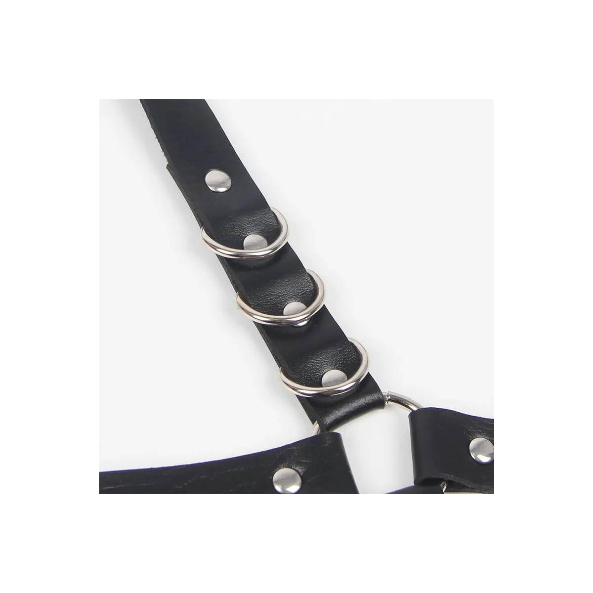 Strumpfhose mit Ringen, Einheitsgrösse von Subblime Fetish kaufen | Fesselliebe