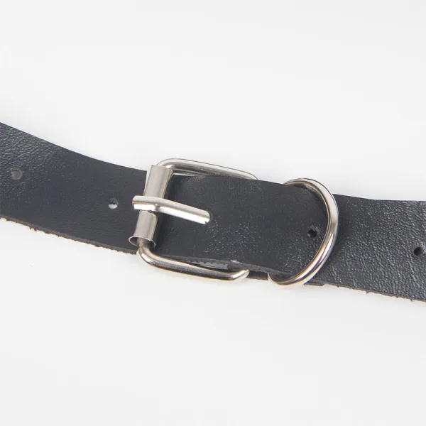 Strumpfhose mit Ringen, Einheitsgrösse von Subblime Fetish kaufen | Fesselliebe