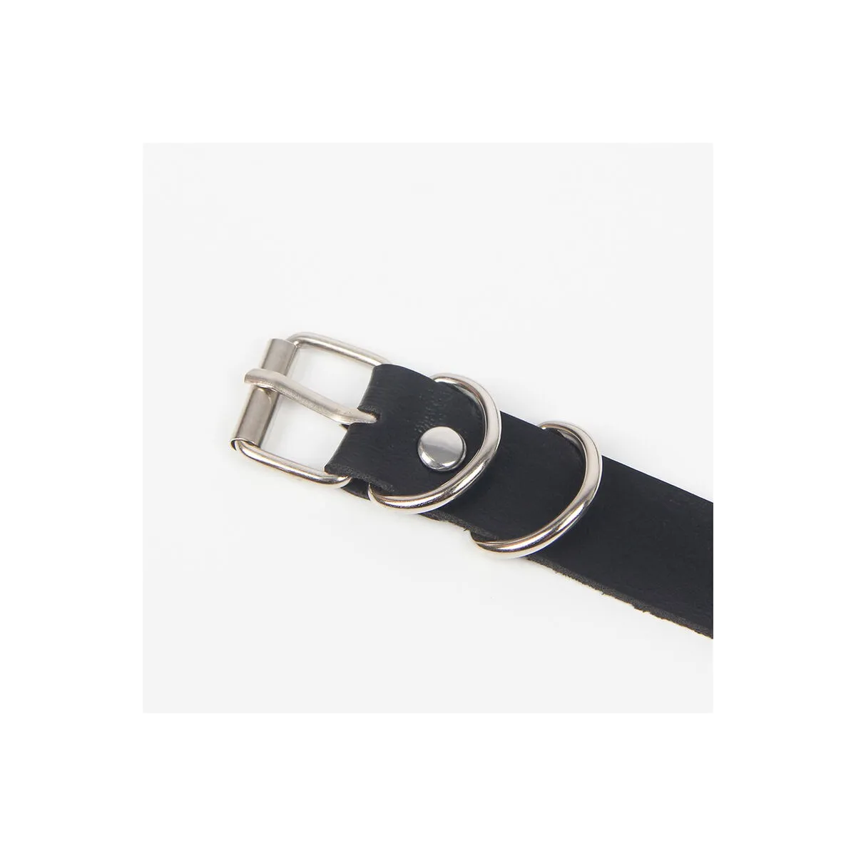 Strumpfhose mit Ringen, Einheitsgrösse von Subblime Fetish kaufen | Fesselliebe