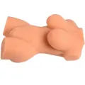 ♥ Realistisches Weibliches Torsomodell 7 von Armony For Him ♥