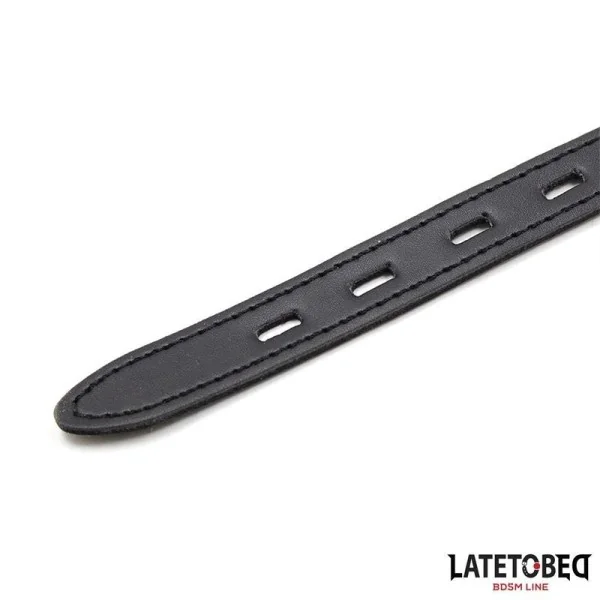 SILIKON-BALLKNEBEL, ROSA VON LATETOBED BDSM LINE