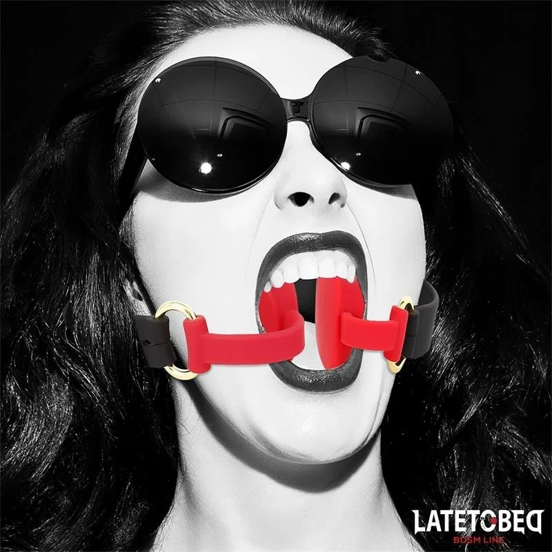 DOPPELENDIGER METALLKARABINERHAKEN VON LATETOBED BDSM LINE 2