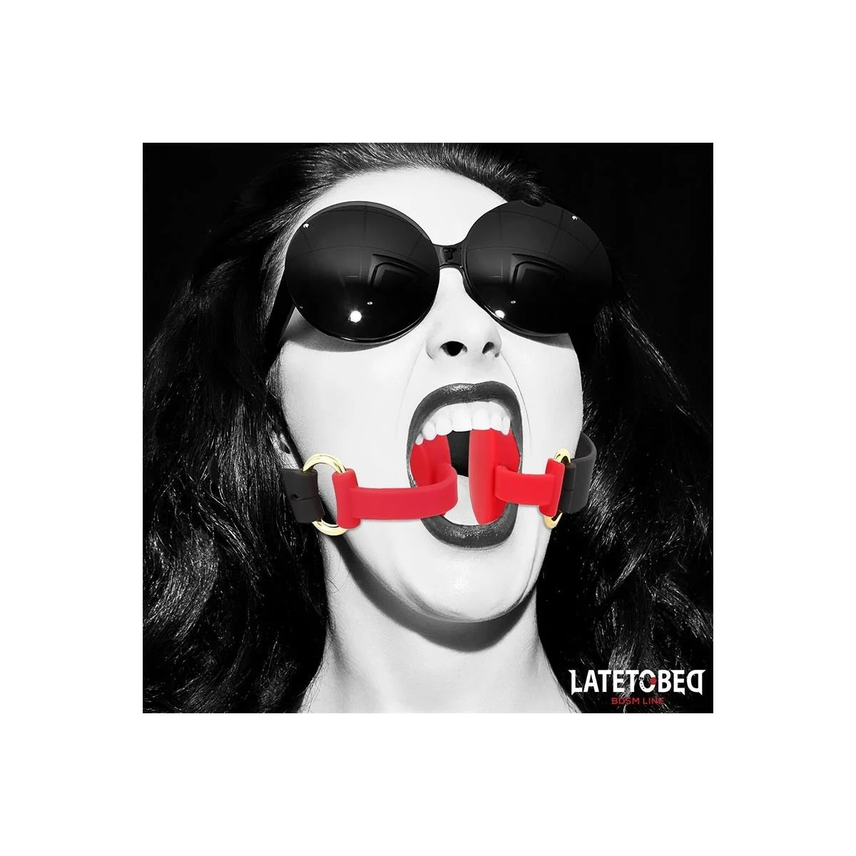 DOPPELENDIGER METALLKARABINERHAKEN VON LATETOBED BDSM LINE