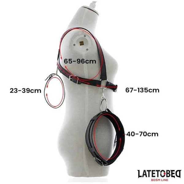 FESSELN FÜR GESPREIZTE BEINE VON LATETOBED BDSM LINE