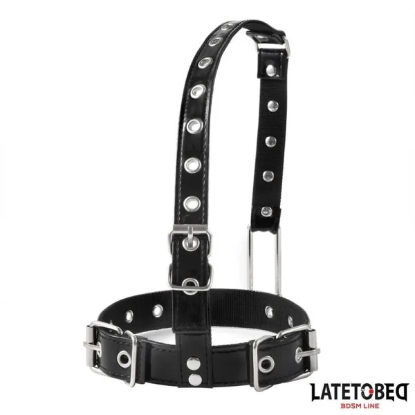 HALSBAND MIT NASENHAKEN VON LATETOBED BDSM LINE