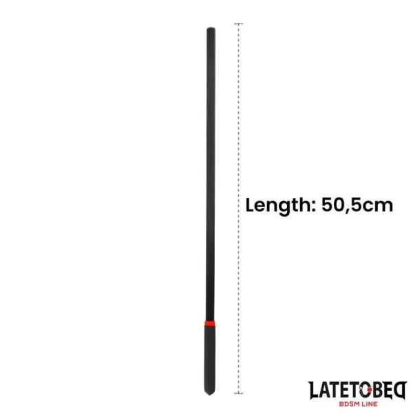 PVC-PALT-FERULE 50,5 CM X 1,2 CM VON LATETOBED BDSM LINE