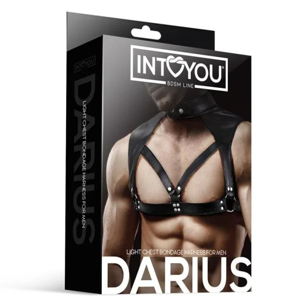 Darius Brust-Bondage-Harness für Männer aus veganem Leder von Intoyou Bdsm Line kaufen | Fesselliebe