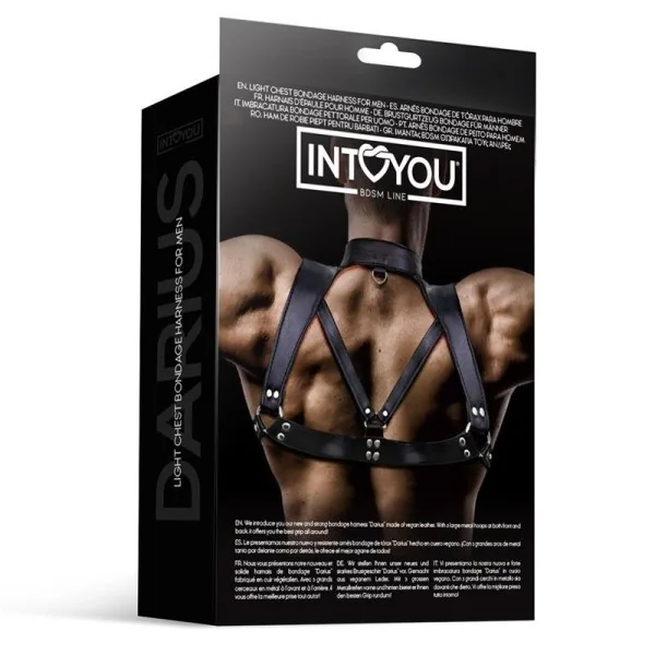Darius Brust-Bondage-Harness für Männer aus veganem Leder von Intoyou Bdsm Line kaufen | Fesselliebe