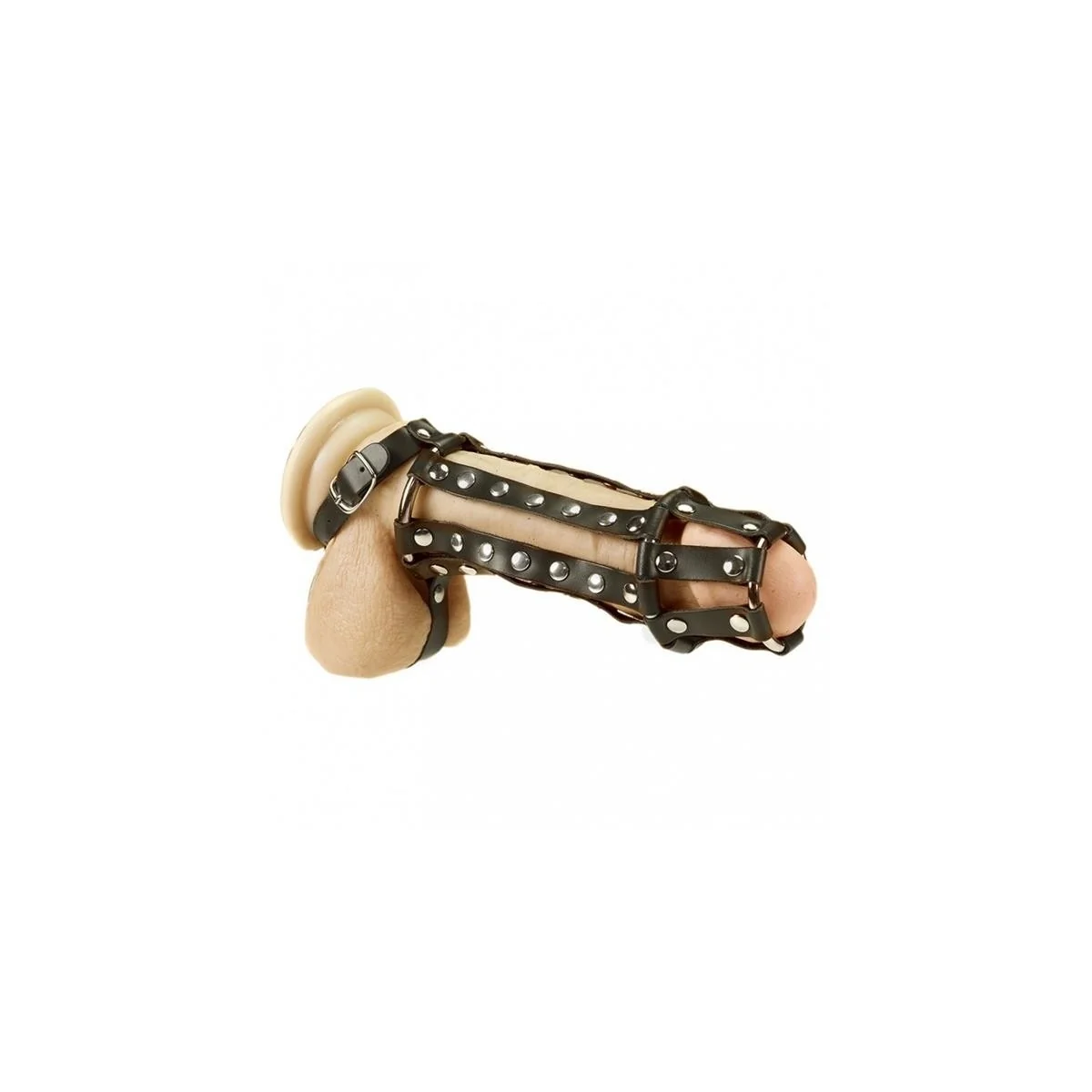 Penis- und Hodenharness von Bondage Play kaufen | Fesselliebe