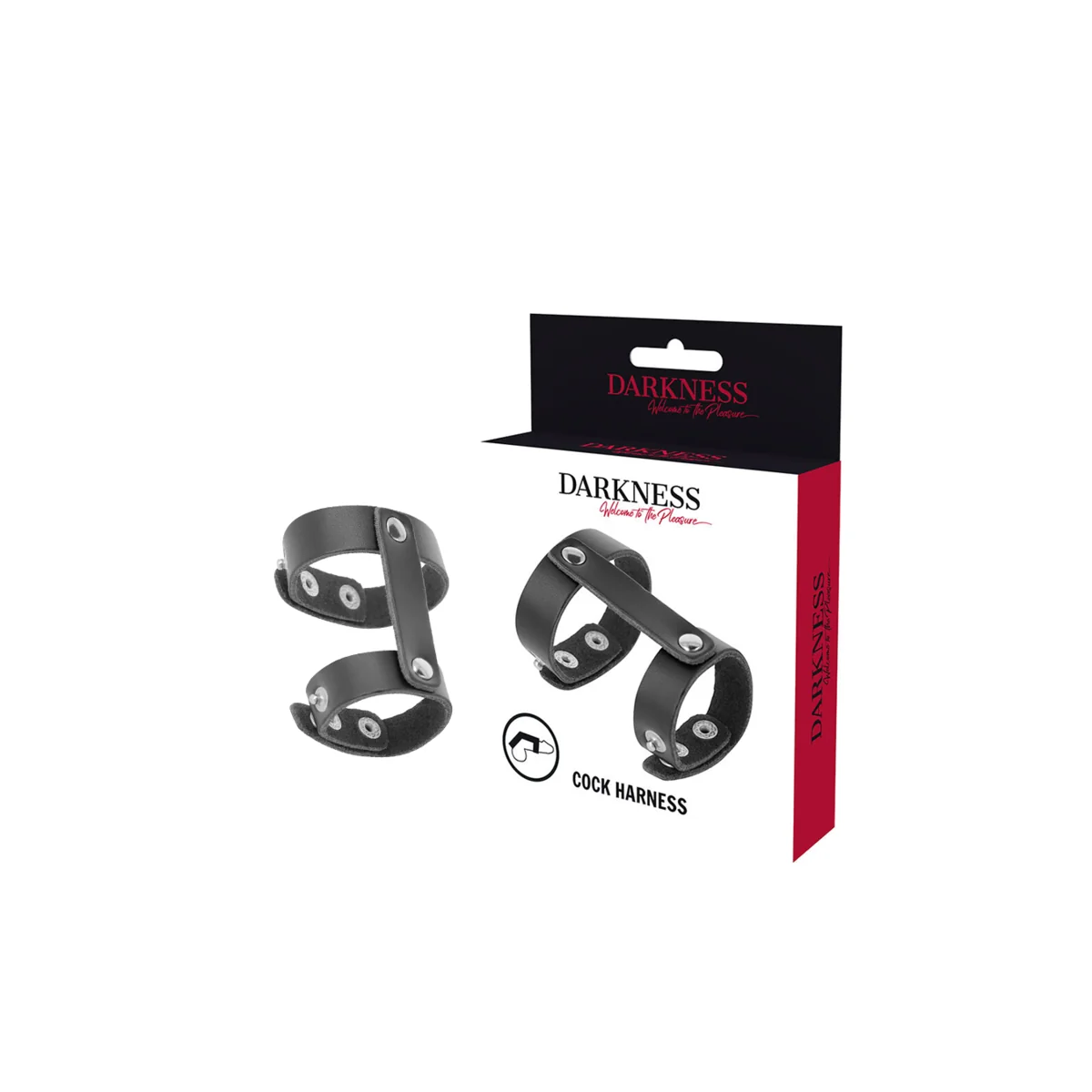 Verstellbarer Penis- und Hodenring aus Leder von Darkness Bondage kaufen | Fesselliebe