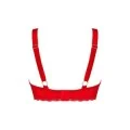 Belovya BH Rot von Obsessive