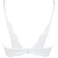 BH Weiss mit Offenen Cups V-9821 von Axami