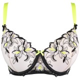 BH Beige-Schwarz V-10141 von Axami | Fesselliebe.de