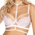 Torfi Push-Up BH Weiss von Róza