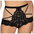 Torfi Boxers Schwarz von Róza