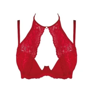 BH Rot V-9531 von Axami