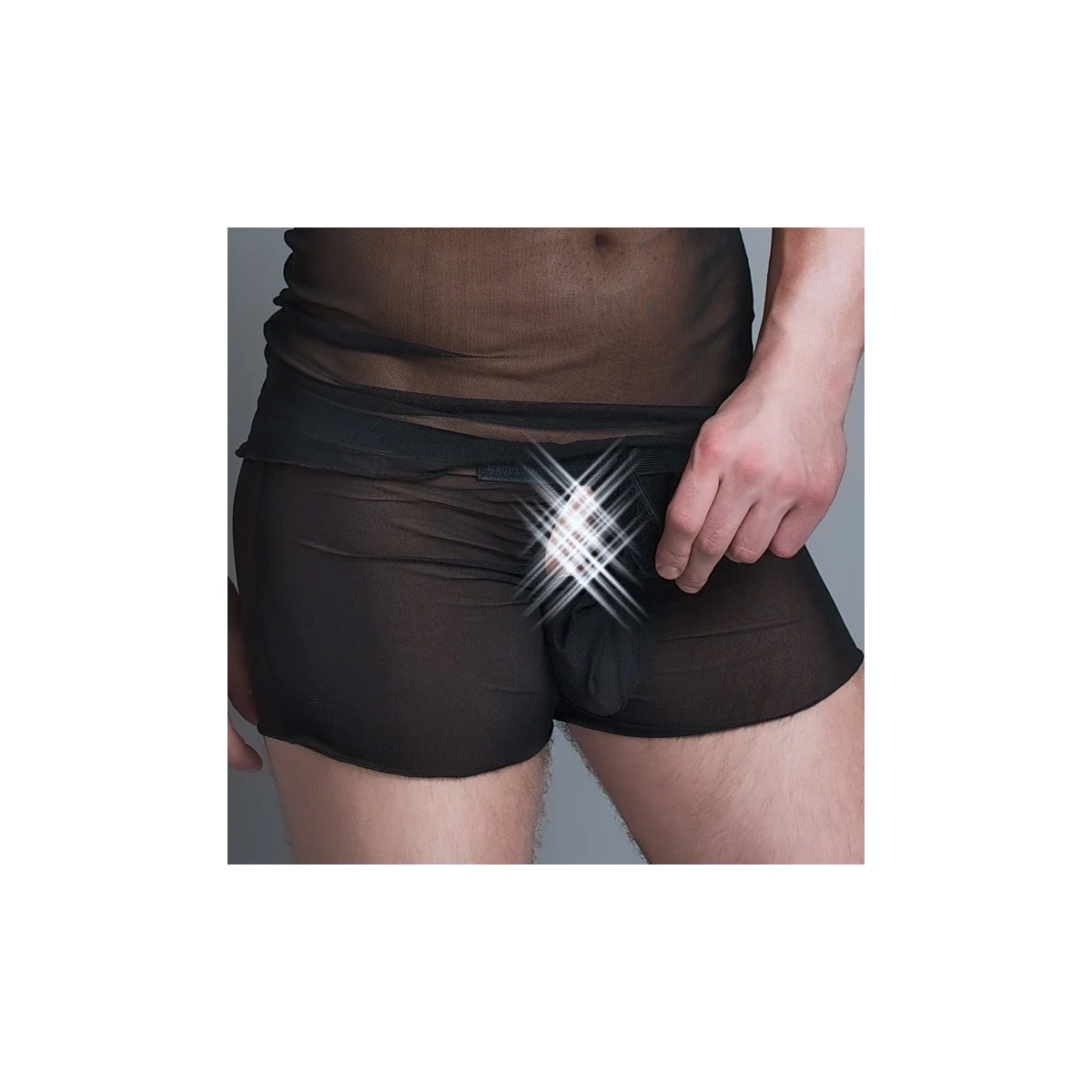 Boxer Mc/9010 aus Schwarzen Transparenten Tüll Für Männer kaufen | Fesselliebe