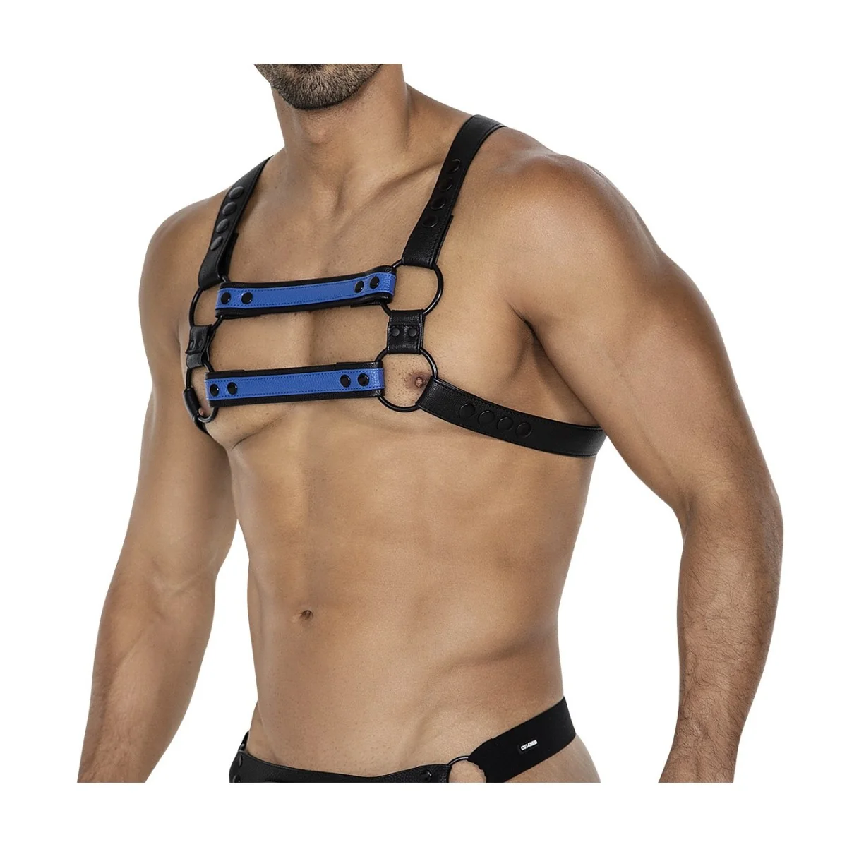 Schwarz/blauer Brust-Harness 06 von Cut4Men kaufen | Fesselliebe