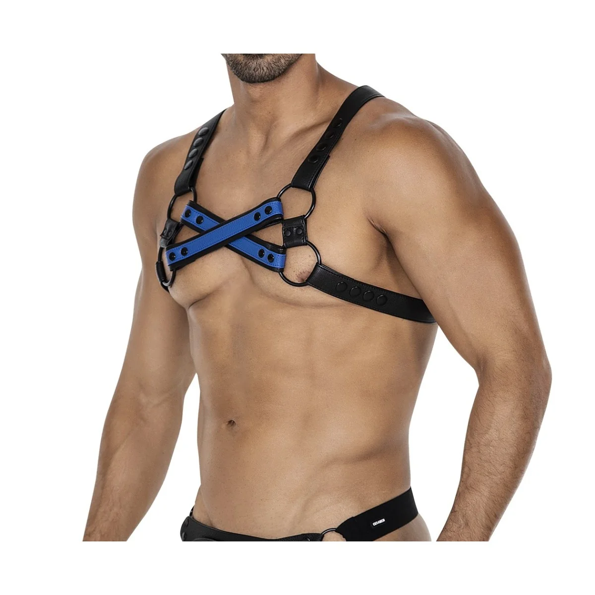 Schwarz/blauer Brust-Harness 06 von Cut4Men kaufen | Fesselliebe
