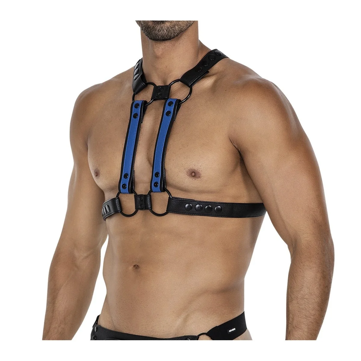 Schwarz/blauer Brust-Harness 06 von Cut4Men kaufen | Fesselliebe
