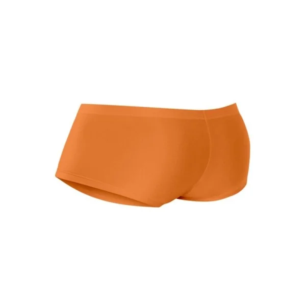 KUPFER HIPSTER BRIEF C4MSPX13 VON CUT4MEN