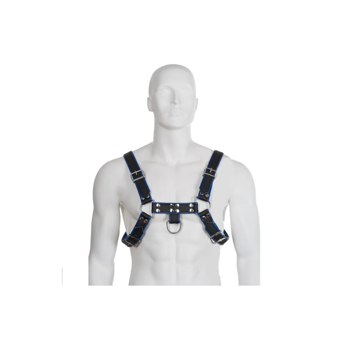 Blau-Schwarz Ledergeschirr Brust Bulldog von Leather Body kaufen | Fesselliebe