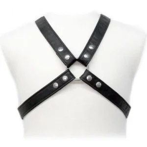 Lasic Harness in Gewand von Leather Body kaufen | Fesselliebe