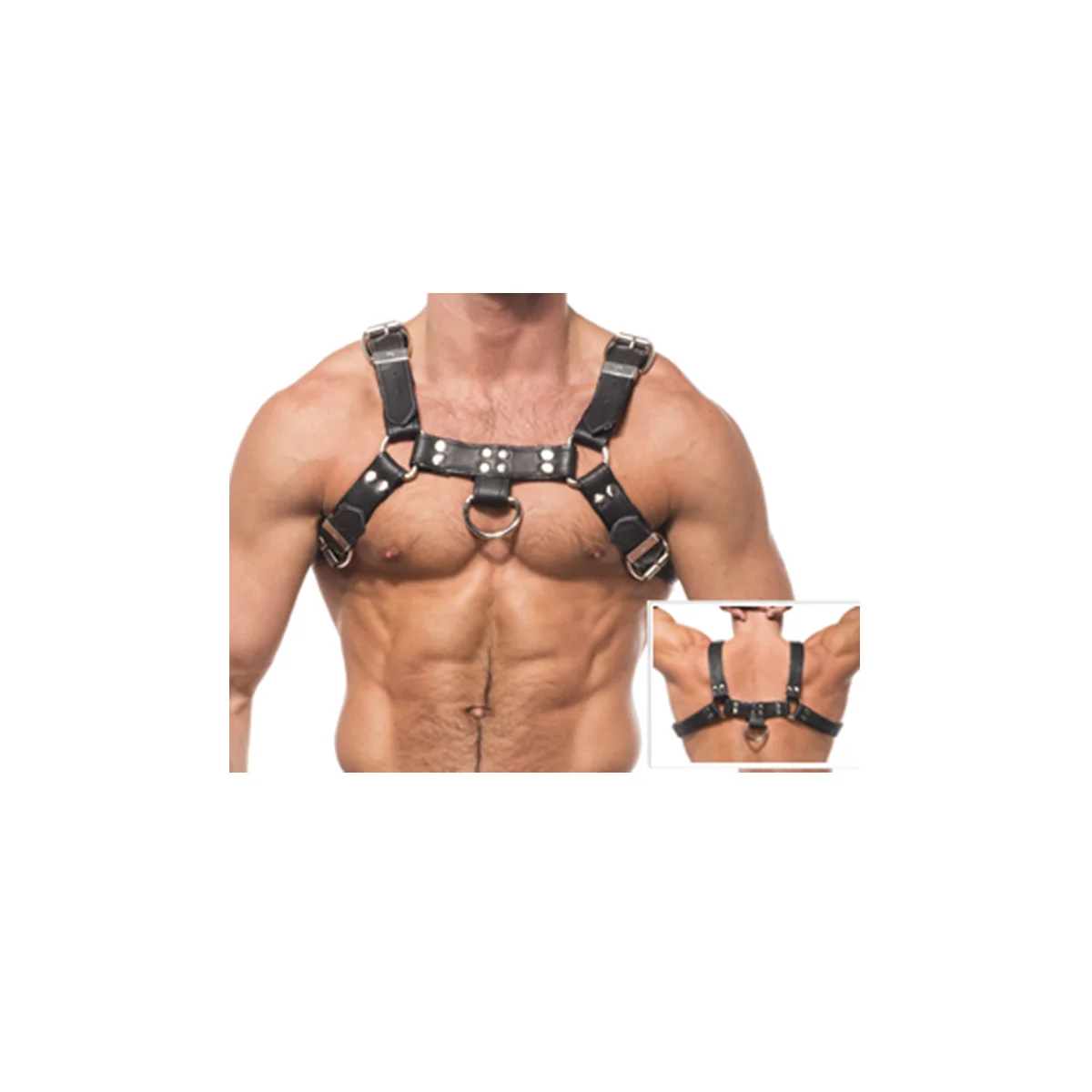 Kettenharness Iii von Leather Body kaufen | Fesselliebe