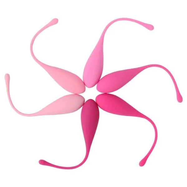 Kegel Fit Pelvic Muscle Training Set 6 Stücke von Leslie kaufen | Fesselliebe
