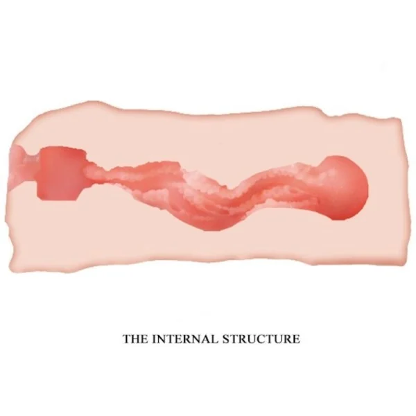 Jane Vagina Masturbator 13.5 cm von Crazy Bull kaufen | Fesselliebe