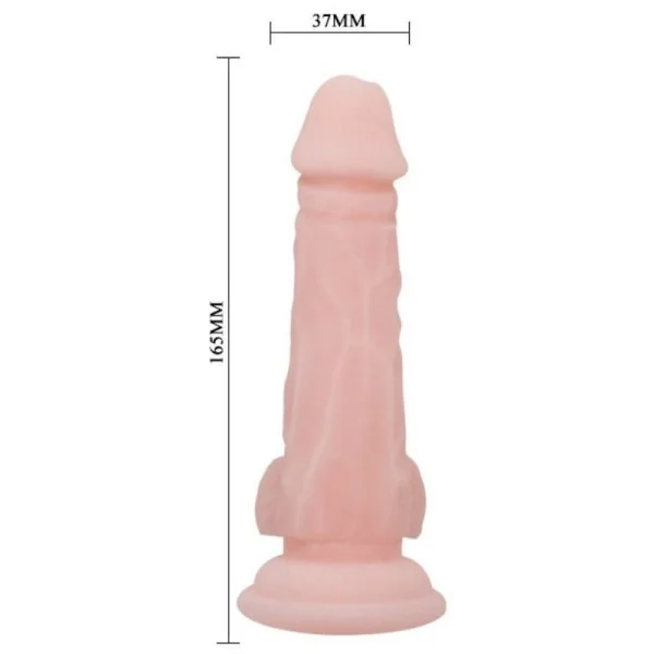 Super realistischer Natürlicher Dildo 16.5 cm von Baile Dildos kaufen | Fesselliebe