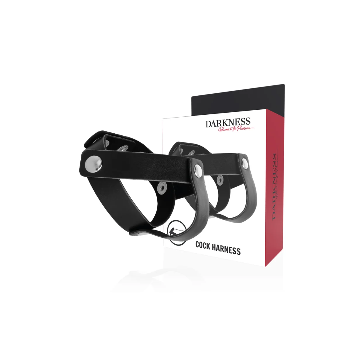 Beigering für Penis und Hoden von Darkness Sensations kaufen | Fesselliebe