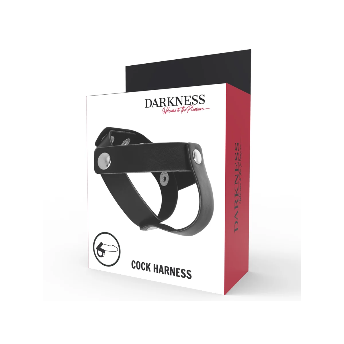 Beigering für Penis und Hoden von Darkness Sensations kaufen | Fesselliebe