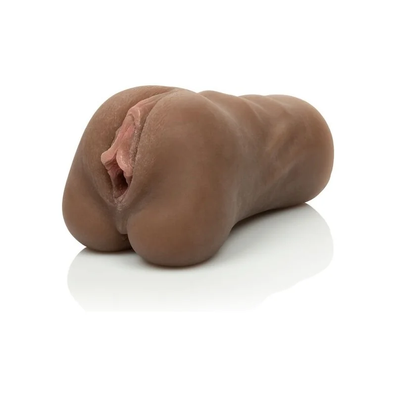 STREICHELTE DIE MUSCHI ÜBER DIE STIRN VON CALEXOTICS