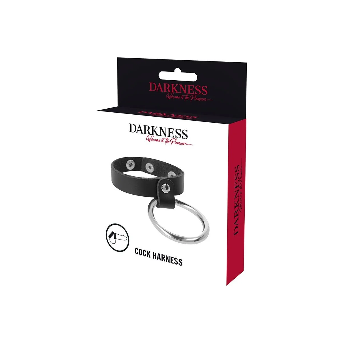 Metallring für Penis und Hoden von Darkness Bondage kaufen | Fesselliebe