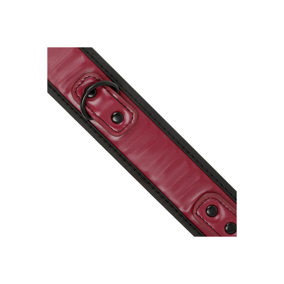 Kettenhalskette mit Neoprenfutter von Fetish Submissive Dark Room kaufen | Fesselliebe