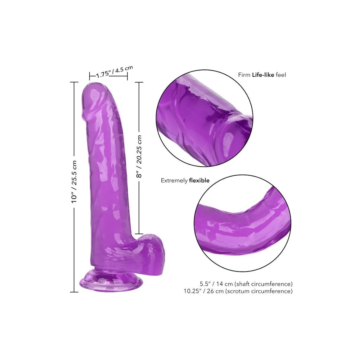 Größe Königin-Dildo Lila 20.3 cm von Calexotics kaufen | Fesselliebe