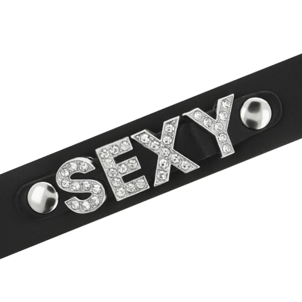 Sexy Veganes Leder-Halsband von Coquette Accessories kaufen | Fesselliebe