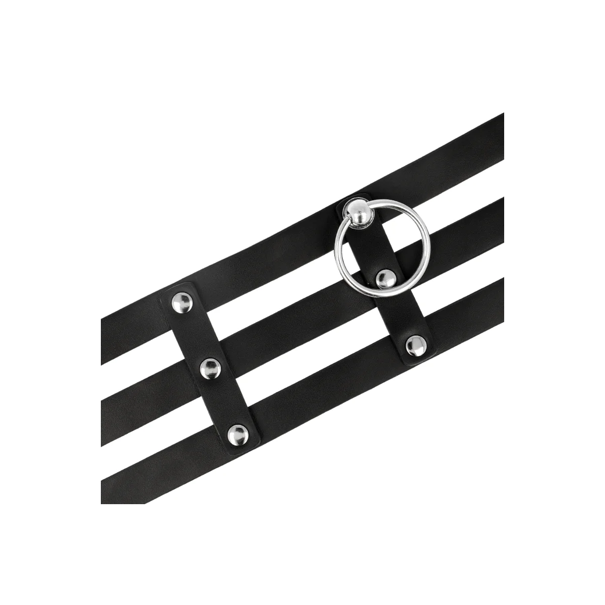 Veganes Leder-Halsband Im Fetisch-Stil von Coquette Accessories kaufen | Fesselliebe