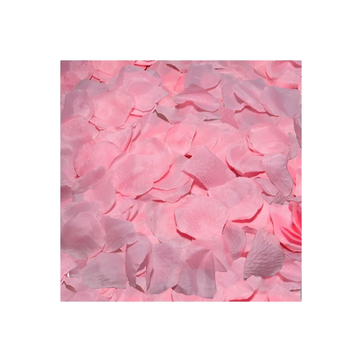 100 Rosa Blütenbltter von Diablo Picante kaufen | Fesselliebe