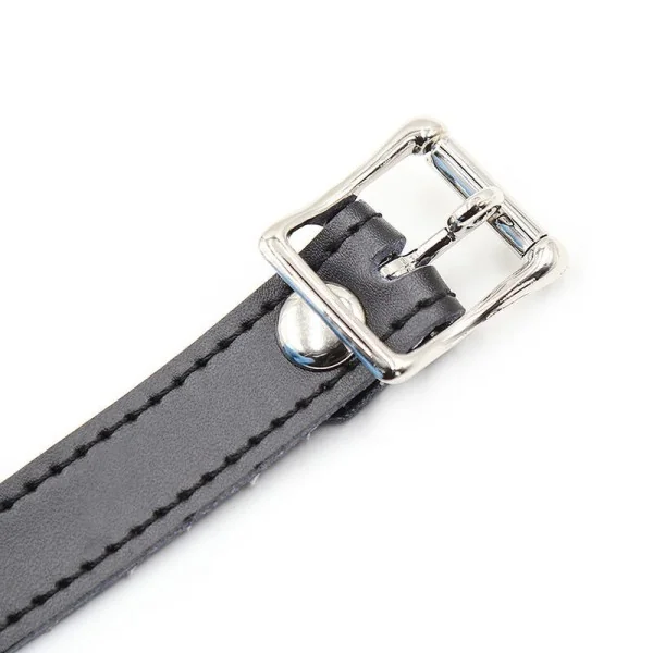 Silikon-Ballgag mit Ledergürtel (VORHÄNGESCHLOSS Inklusive) von Ohmama Fetish kaufen | Fesselliebe