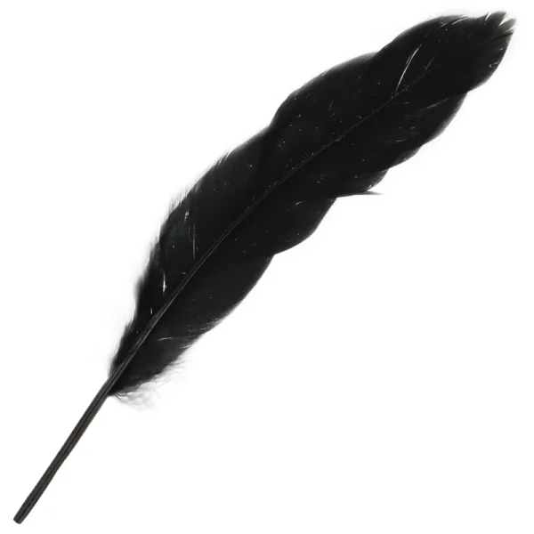 Paar-Set Nummer 3 von Ohmama Set kaufen | Fesselliebe